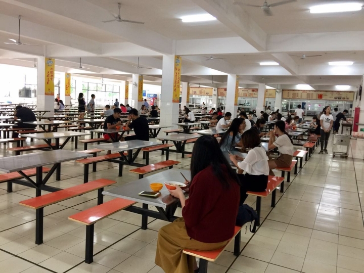 学校食堂 不仅是味蕾的驿站，更是成长的记忆